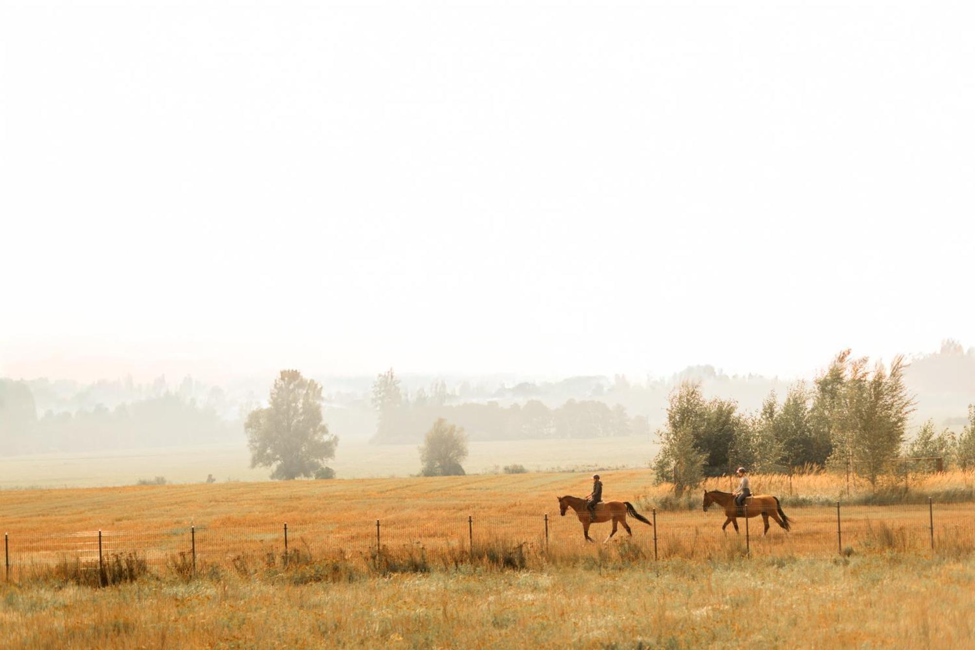Pura Slow Life Houses- 450 M Od Morza Trzęsacz Esterno foto
